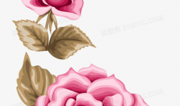 漫画玫瑰花图片,漫画中的浪漫瞬间